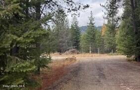 171-temp) Bear Road Priest River, ID 83856 - Photo 7 of 16 Driveway entrance (Custom)