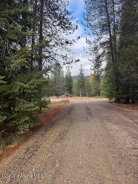 171-temp) Bear Road Priest River, ID 83856 - Photo 8 of 16 Driveway entrance