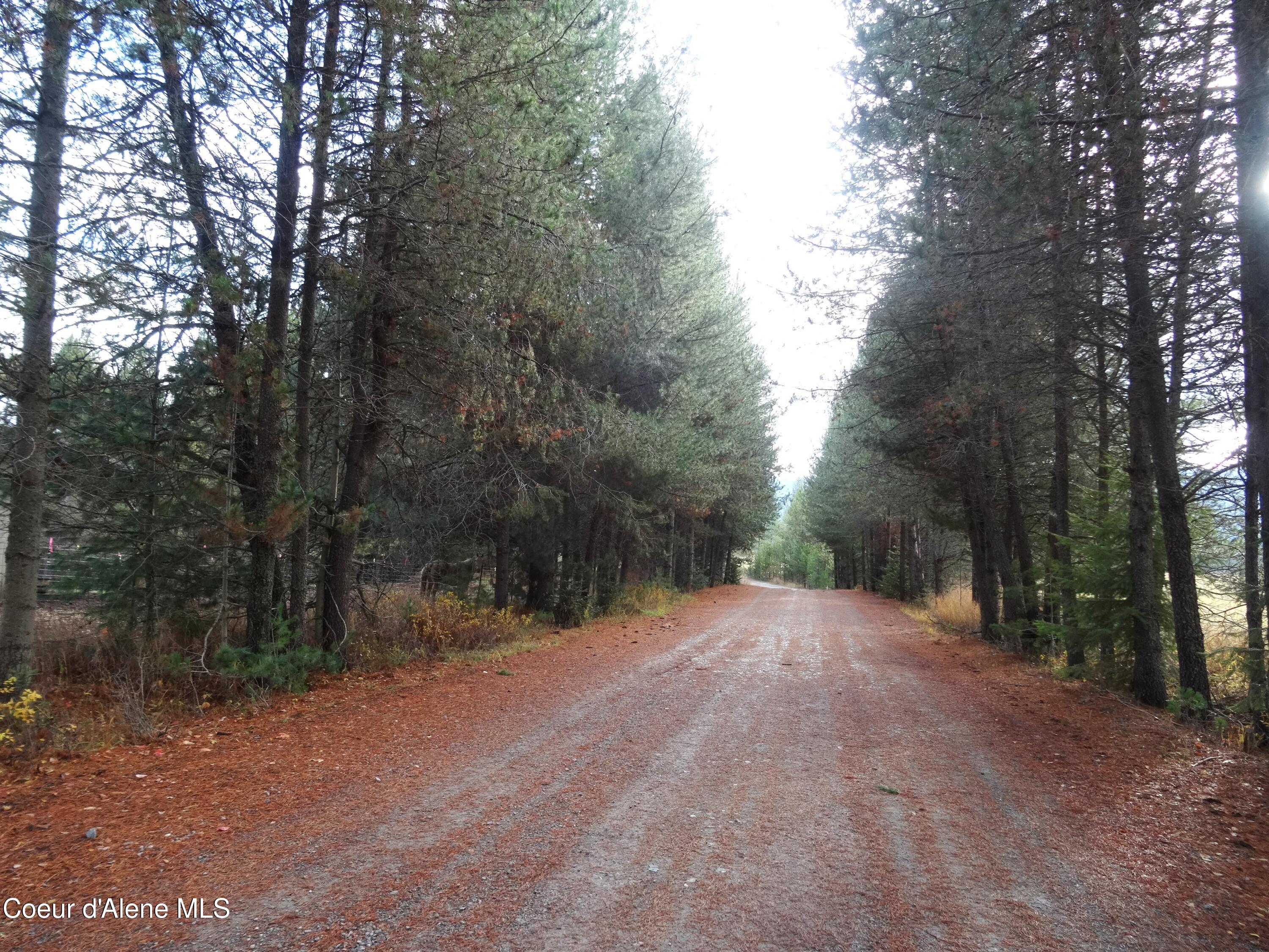 171-temp) Bear Road Priest River, ID 83856 - Photo 9 of 16 DSC05828.1