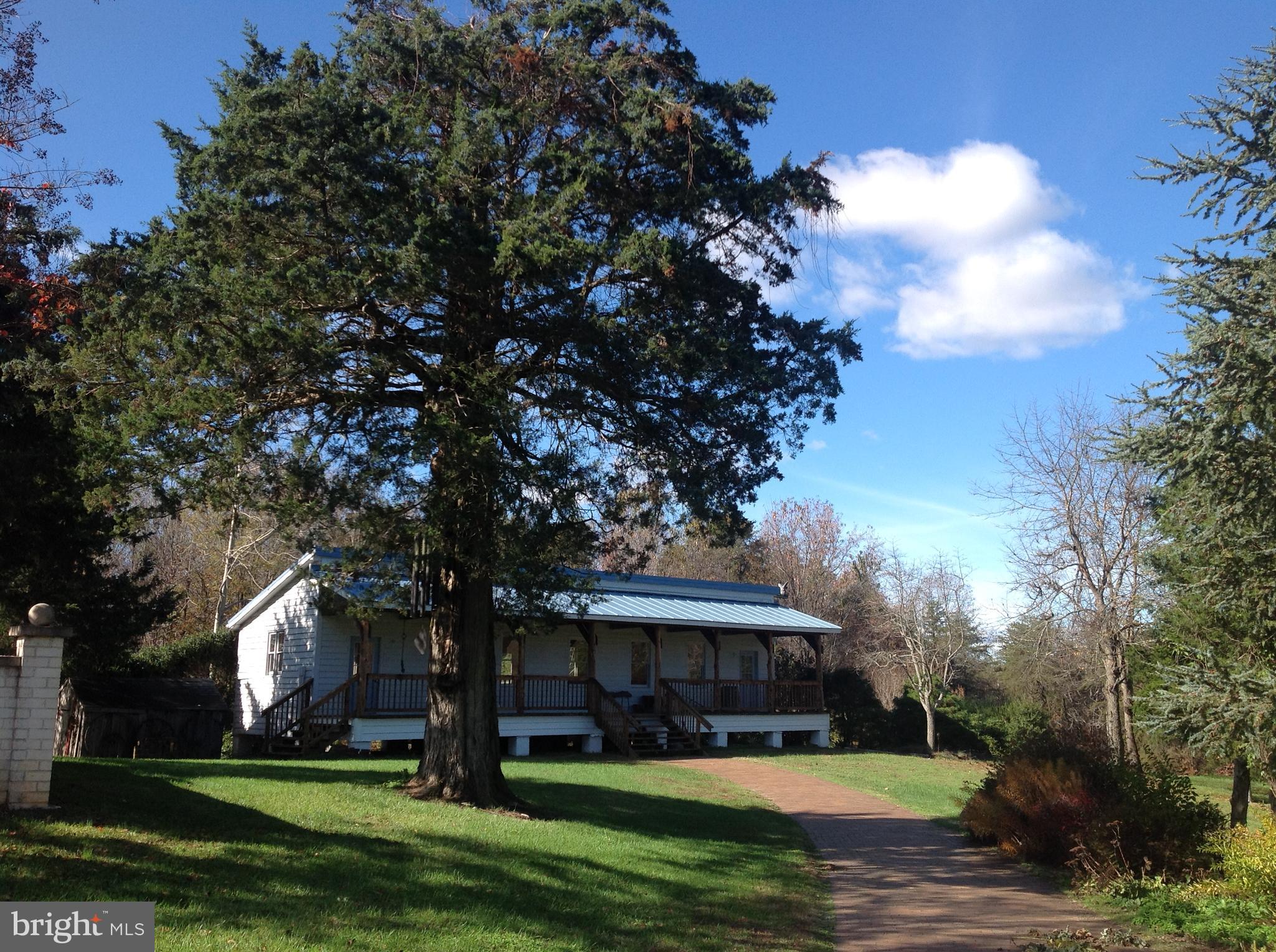 5902 Patriot Highway Woodford, VA 22580 - Photo 11 of 19