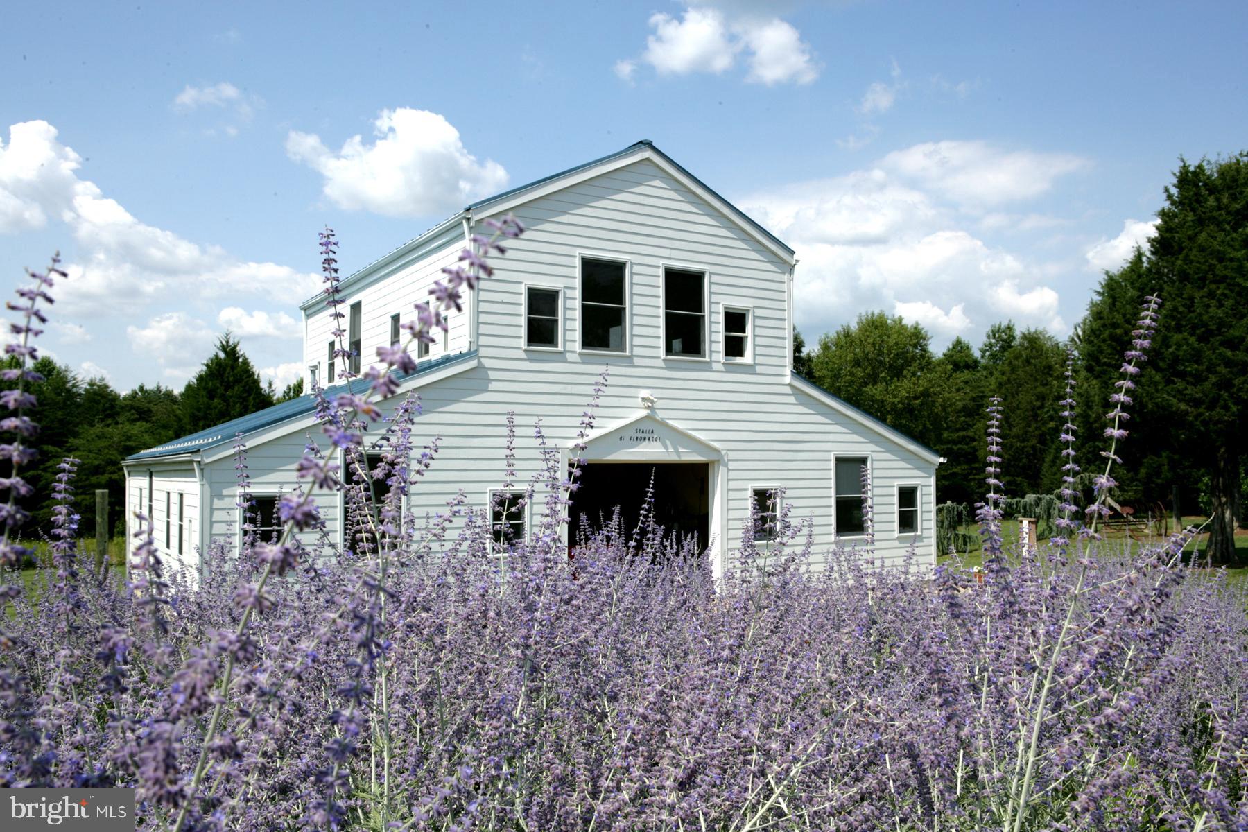 5902 Patriot Highway Woodford, VA 22580 - Photo 12 of 19