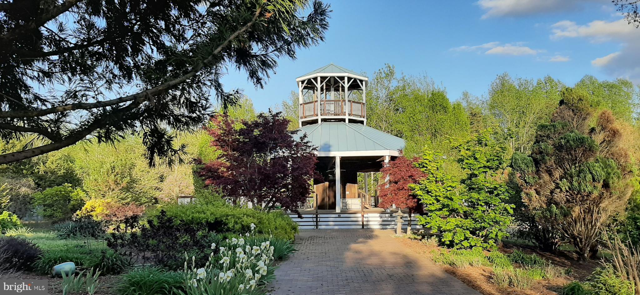 5902 Patriot Highway Woodford, VA 22580 - Photo 14 of 19