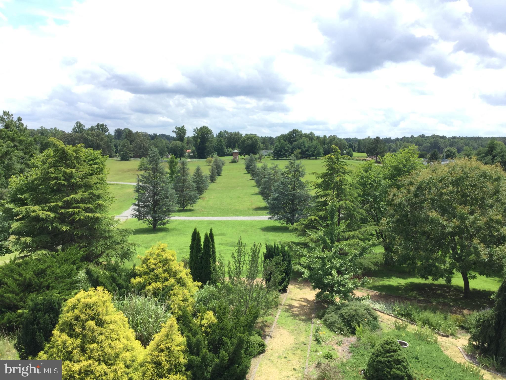 5902 Patriot Highway Woodford, VA 22580 - Photo 7 of 19