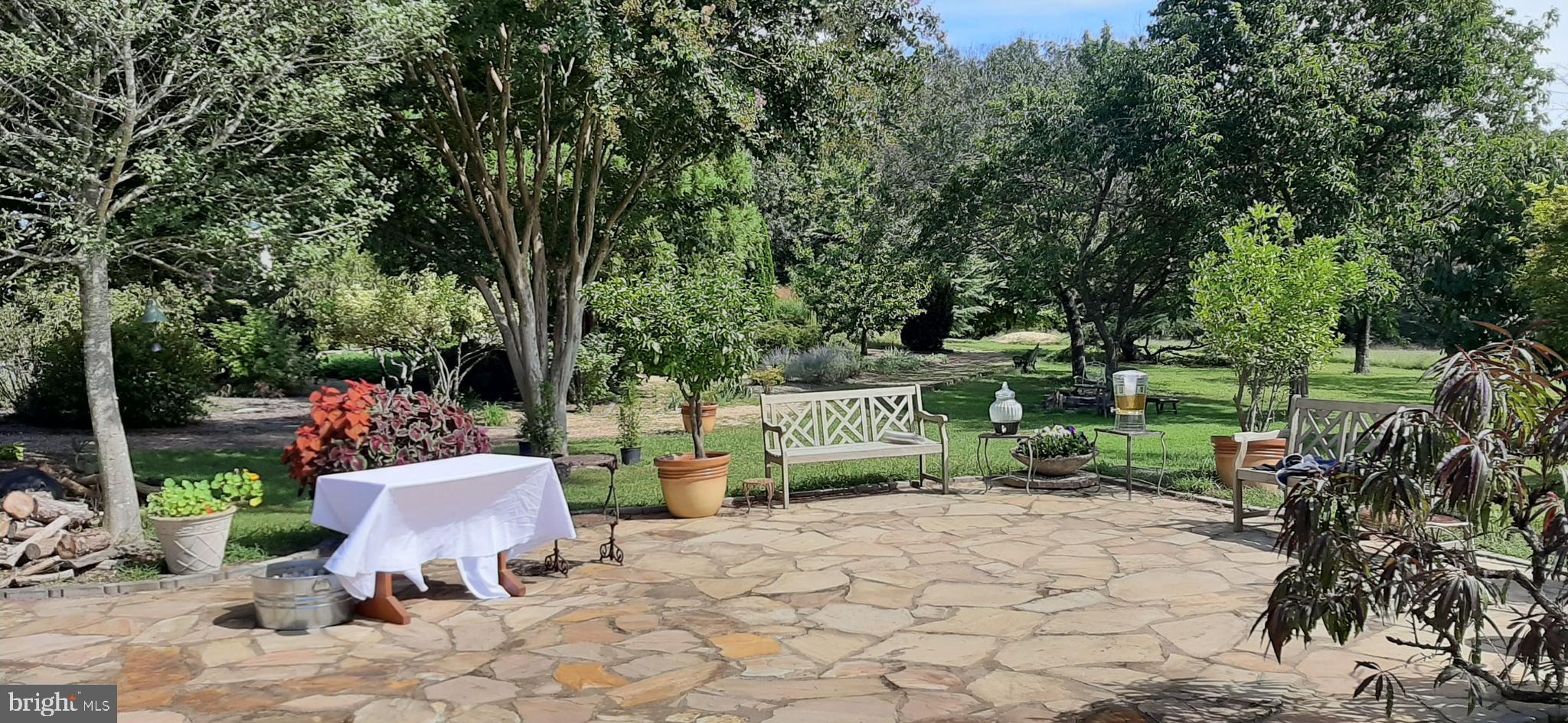 5902 Patriot Highway Woodford, VA 22580 - Photo 10 of 19