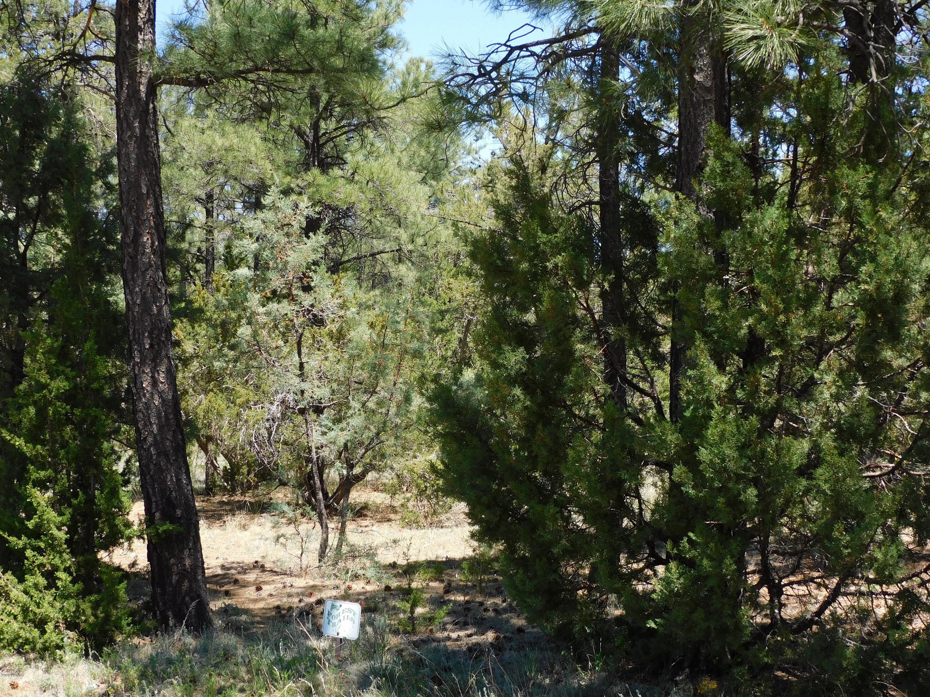 2974 Rim Circle, Unit 434 Overgaard, AZ 85933 - Photo 3 of 8 DSCN0047