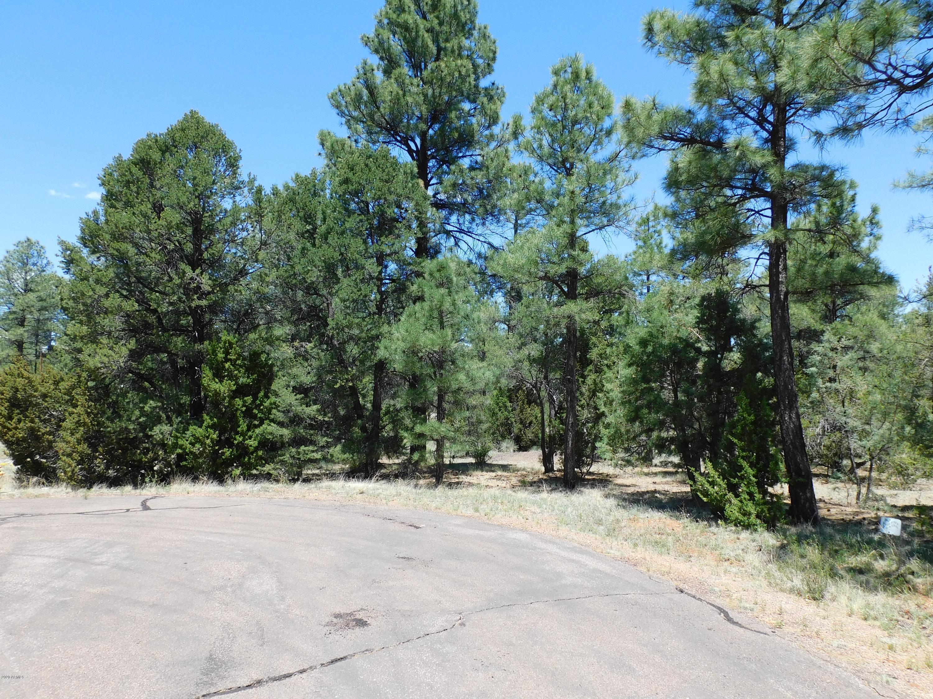 2974 Rim Circle, Unit 434 Overgaard, AZ 85933 - Photo 4 of 8 DSCN0048