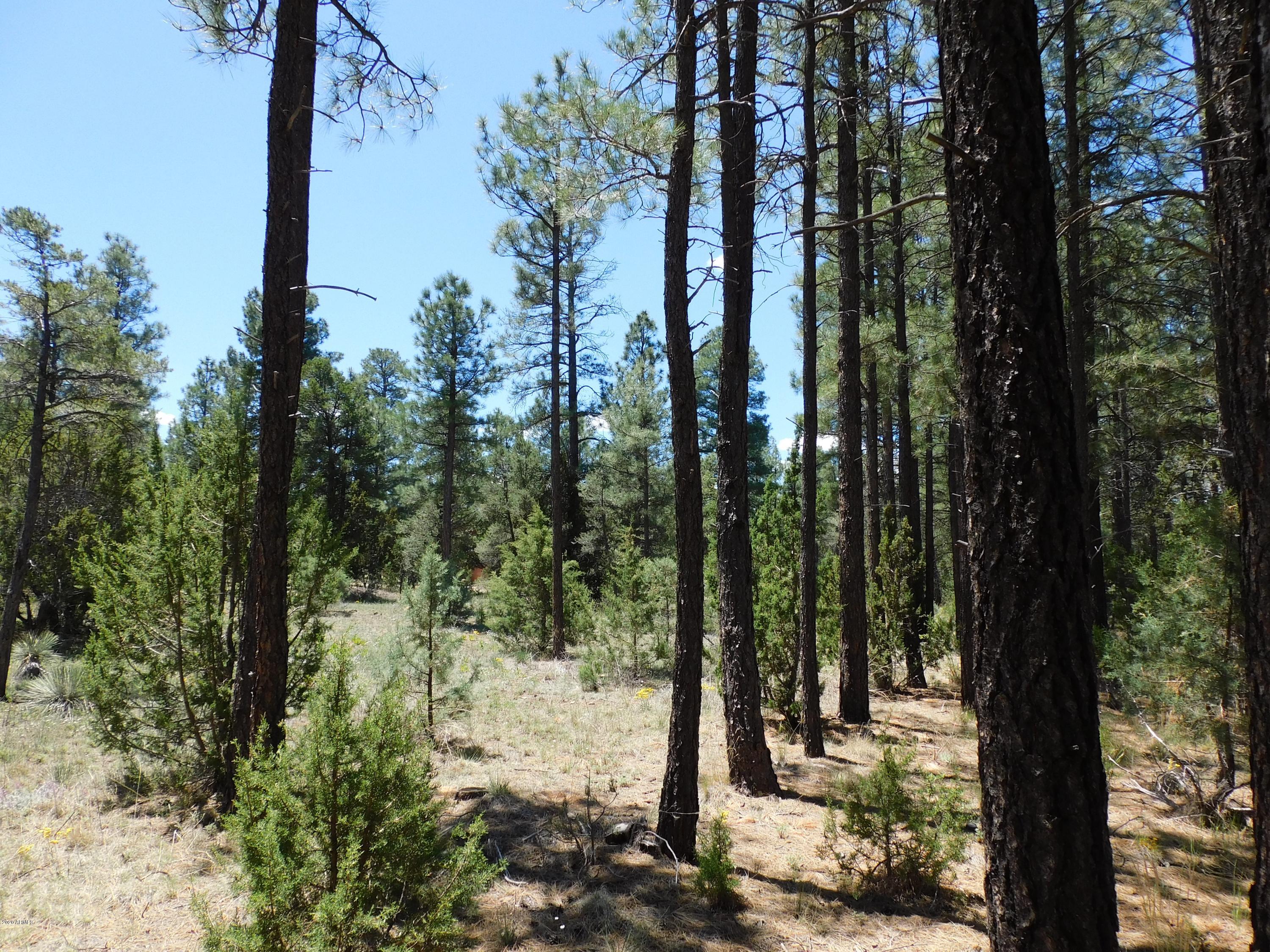 2974 Rim Circle, Unit 434 Overgaard, AZ 85933 - Photo 6 of 8 DSCN0050