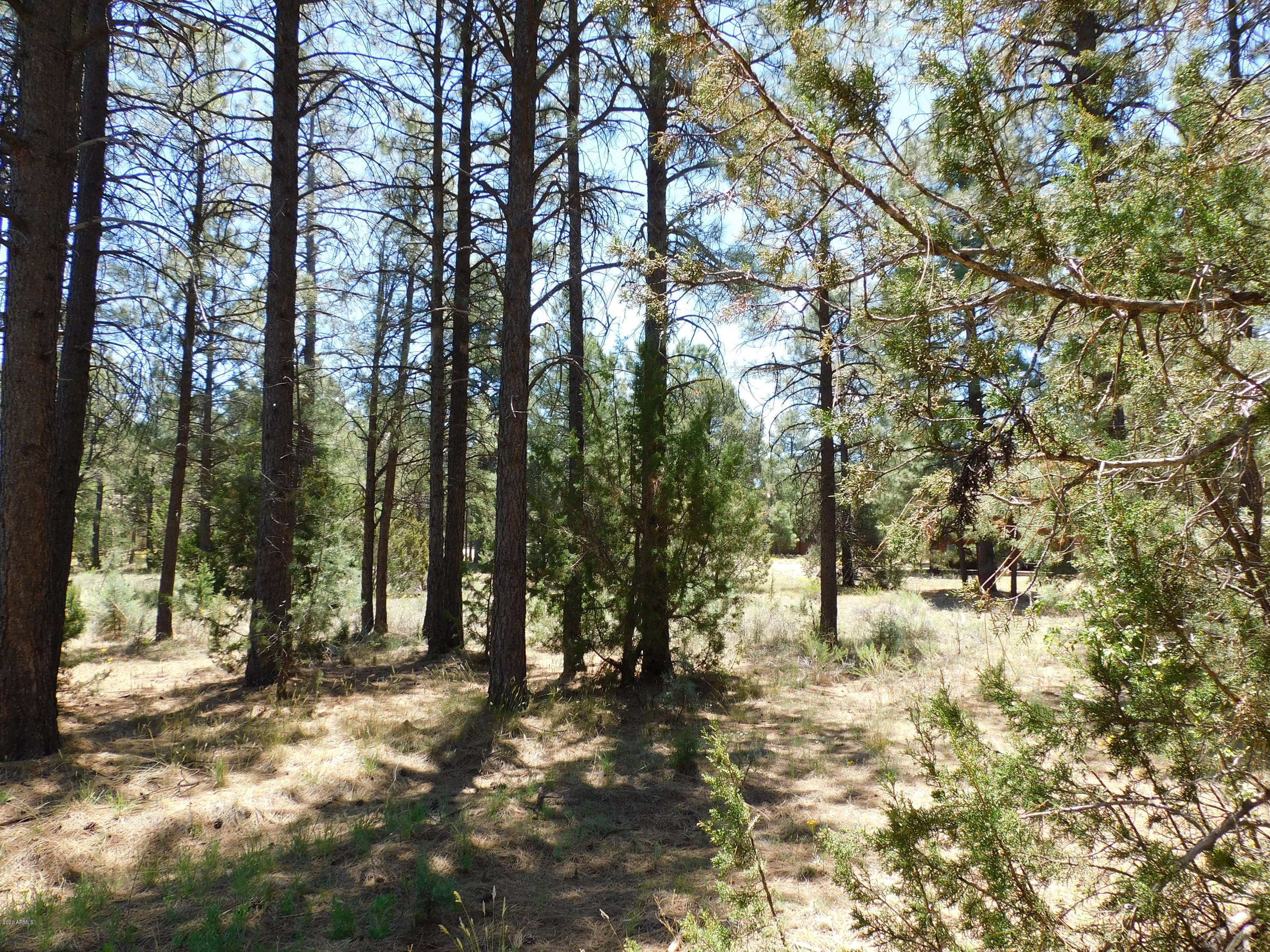 2974 Rim Circle, Unit 434 Overgaard, AZ 85933 - Photo 7 of 8 DSCN0051