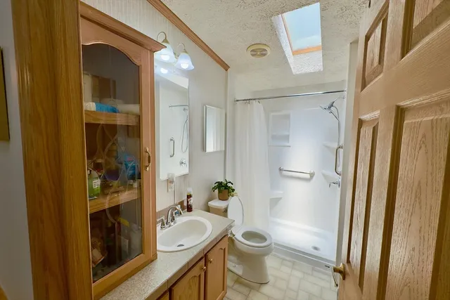 a bathroom with a sink a toilet and shower a mirror
