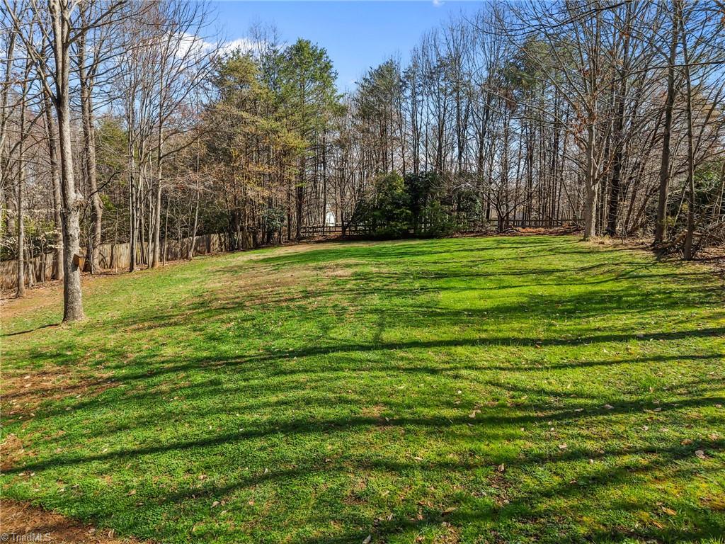7602 Wilson Farm Road Summerfield, NC 27358 - Photo 40 of 50 Large backyard