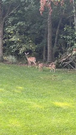 $535,000 | 7602 Wilson Farm Road, Summerfield, NC 27358