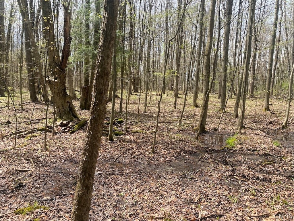 6281 East Hill Road Caneadea, NY 14717 - Photo 22 of 26