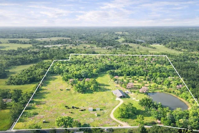 a view of a lake with lots of trees