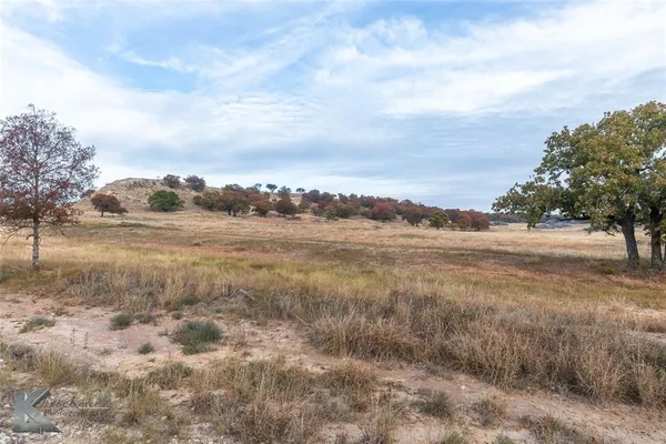 a view of a field with trees in background