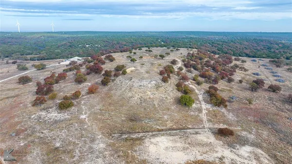 a view of a dry yard with trees