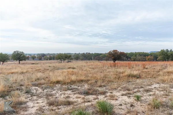 a view of a dry space with lots of trees