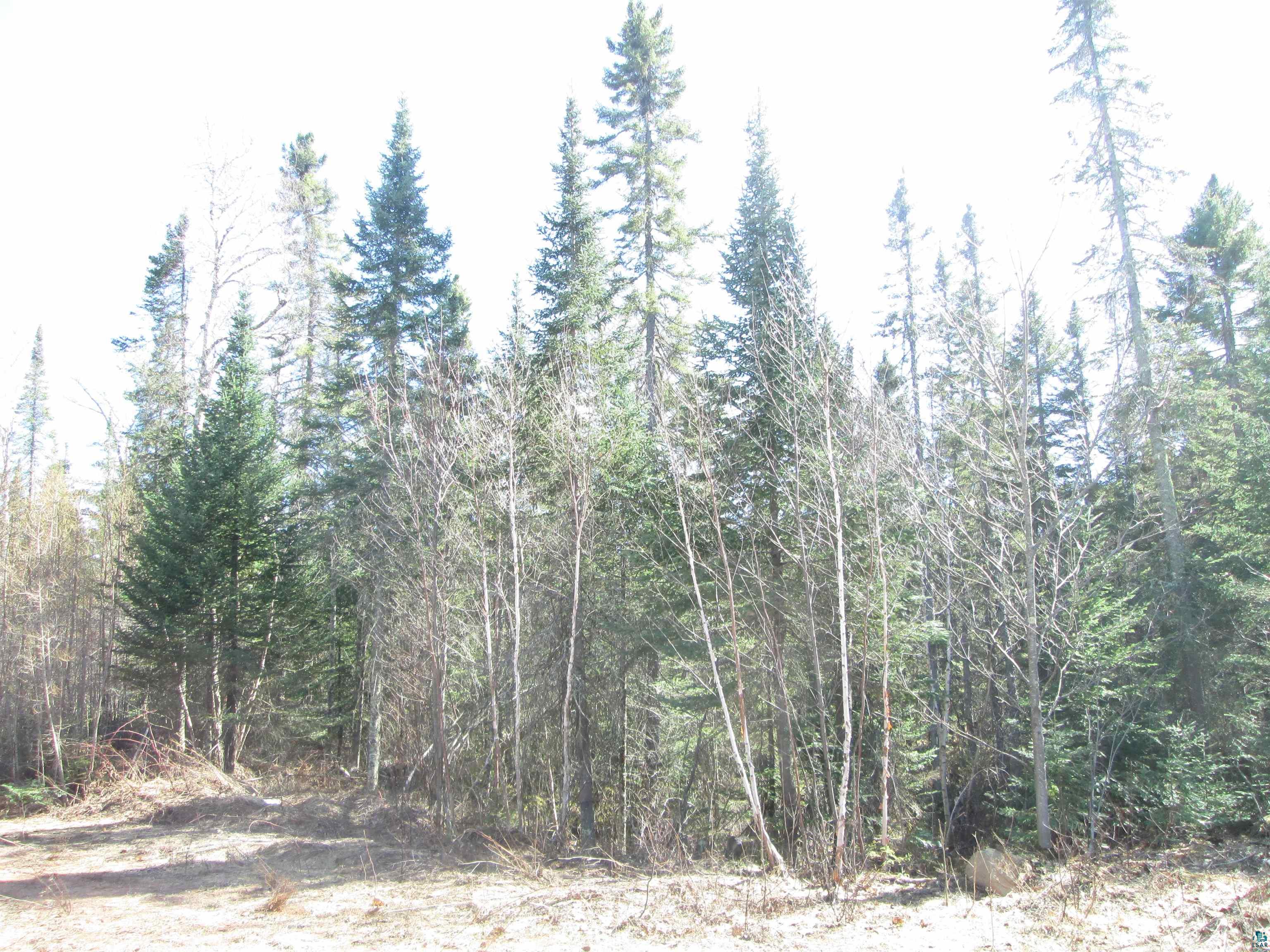 Lot 1-40 Acres County Road South Range, WI 54874 - Photo 11 of 35 Gallery Image 11