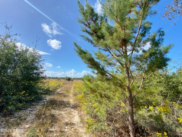 $139,000 | 21332 Northwest Melvin New Grade Road, Altha, FL 32421