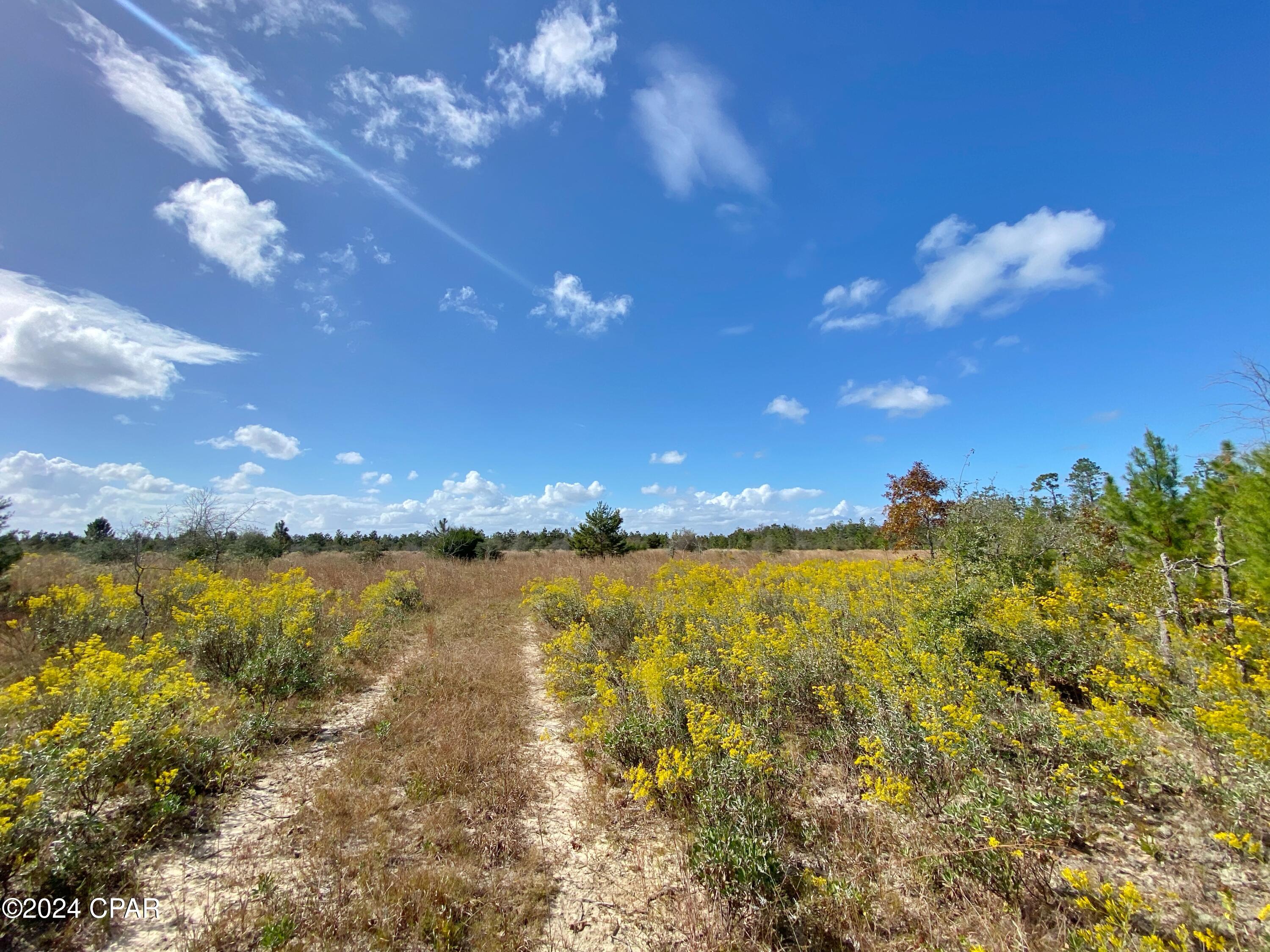 21332 Northwest Melvin New Grade Road Altha, FL 32421 - Photo 3 of 10