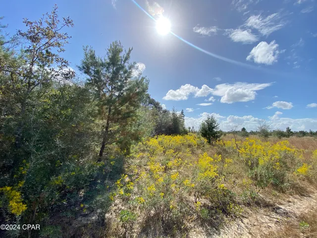 $139,000 | 21332 Northwest Melvin New Grade Road, Altha, FL 32421