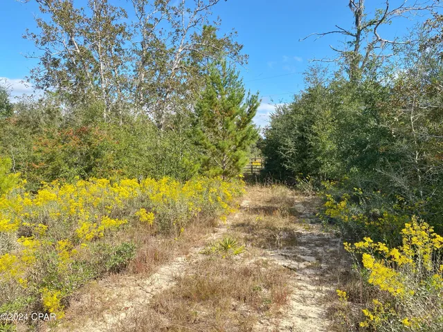 $139,000 | 21332 Northwest Melvin New Grade Road, Altha, FL 32421