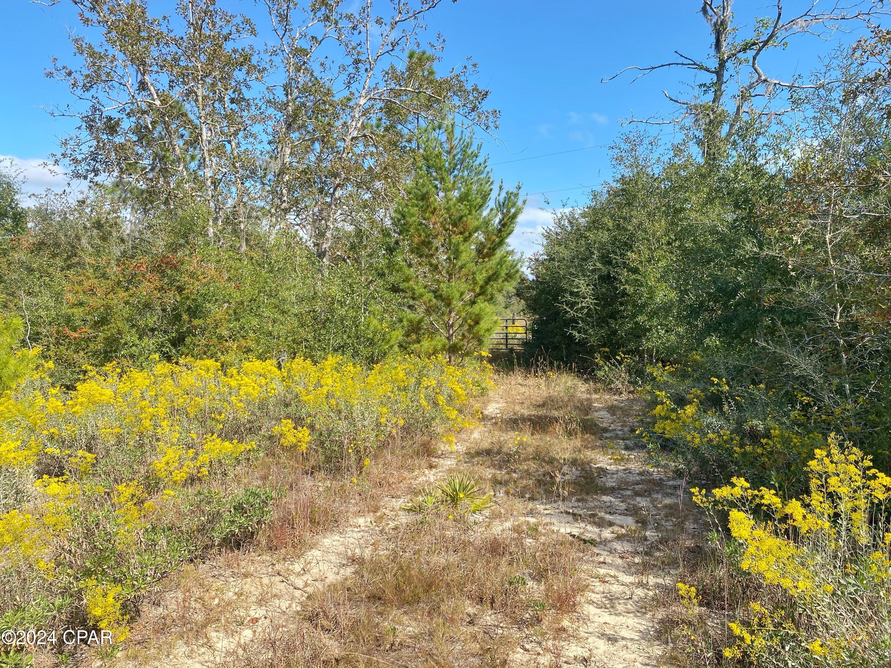 21332 Northwest Melvin New Grade Road Altha, FL 32421 - Photo 5 of 10