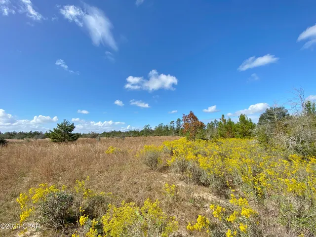 $139,000 | 21332 Northwest Melvin New Grade Road, Altha, FL 32421