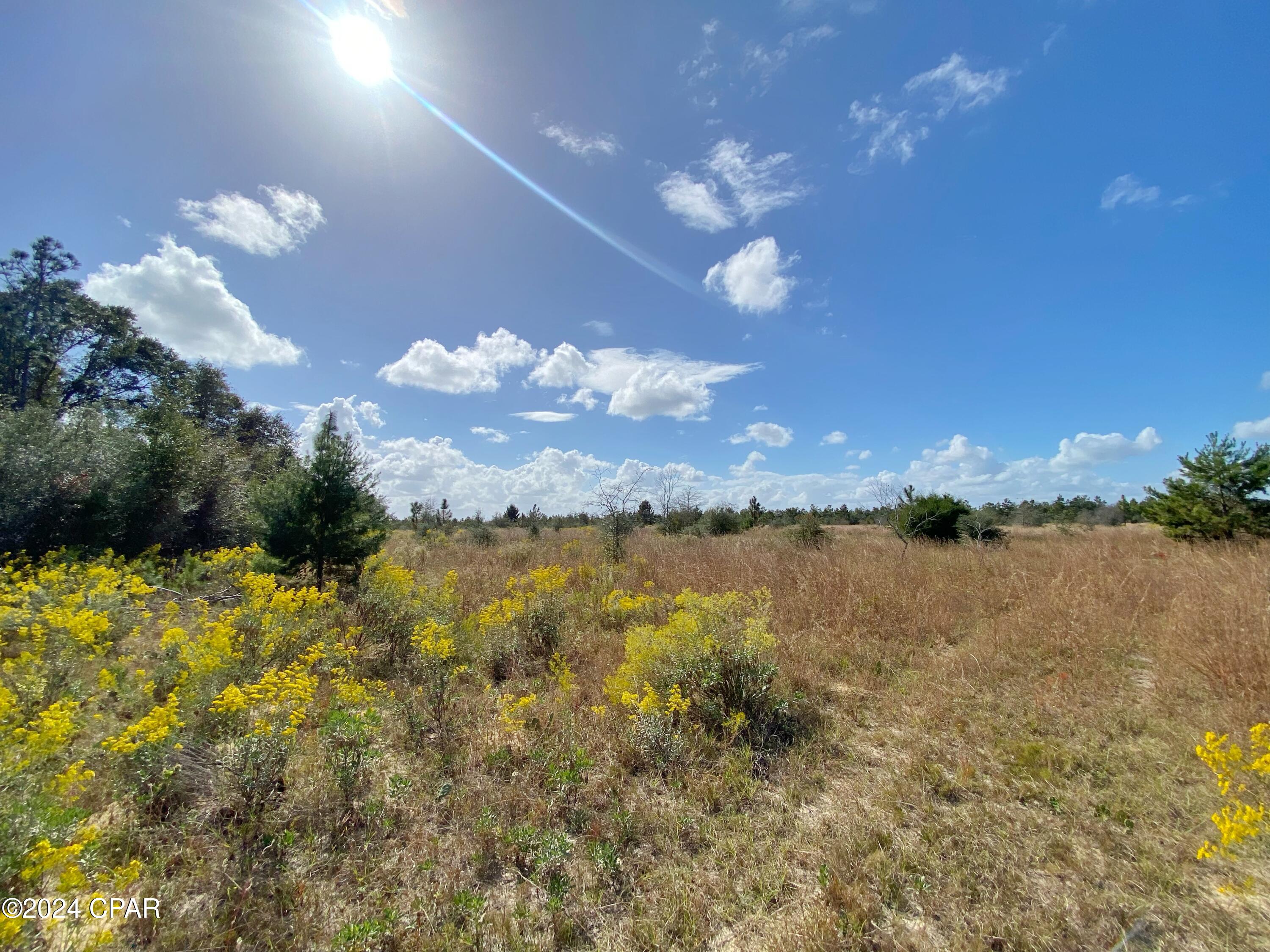21332 Northwest Melvin New Grade Road Altha, FL 32421 - Photo 7 of 10