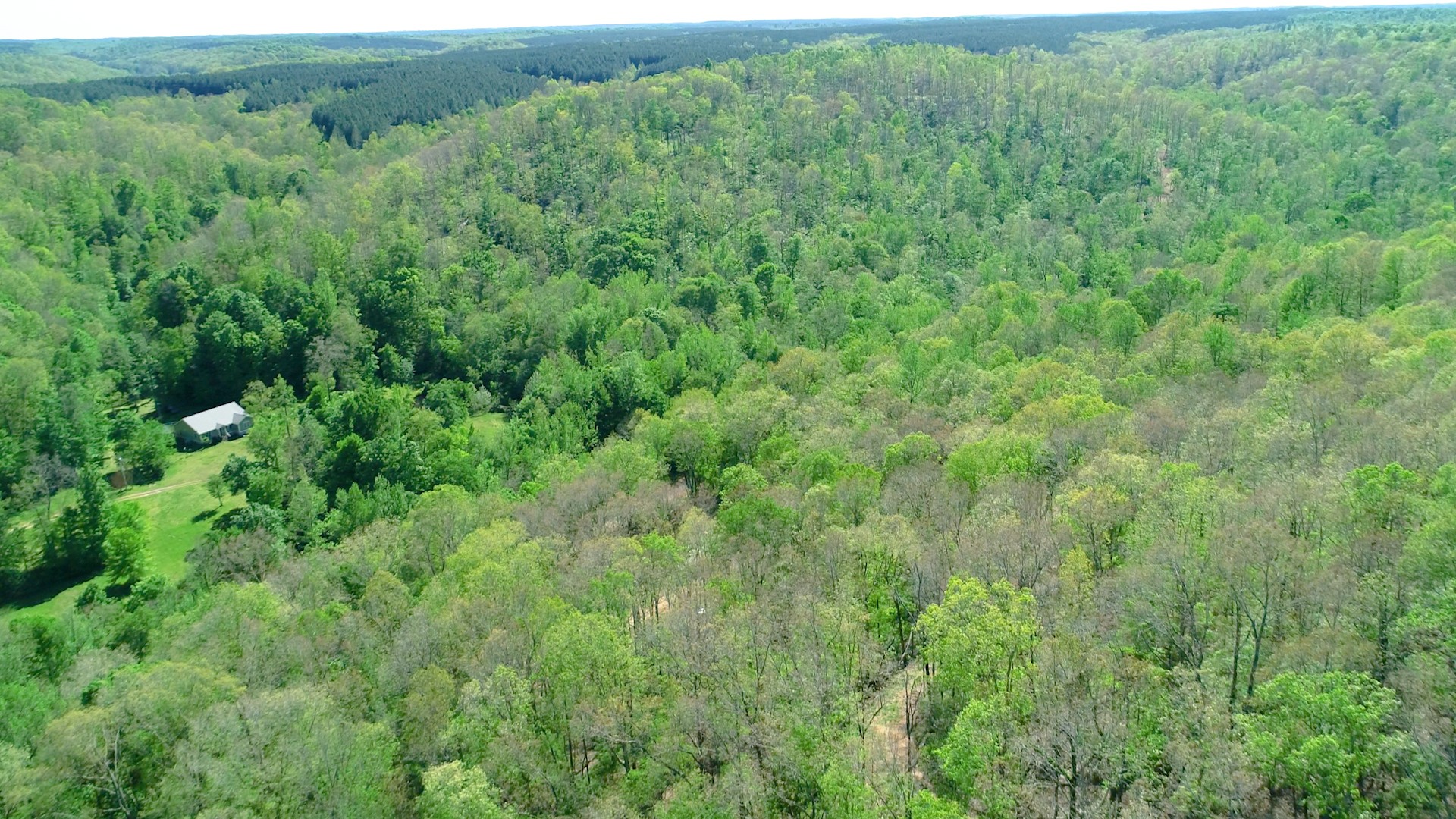 1219 Simmons Branch Road Centerville, TN 37033 - Photo 16 of 48 Gallery Image 16