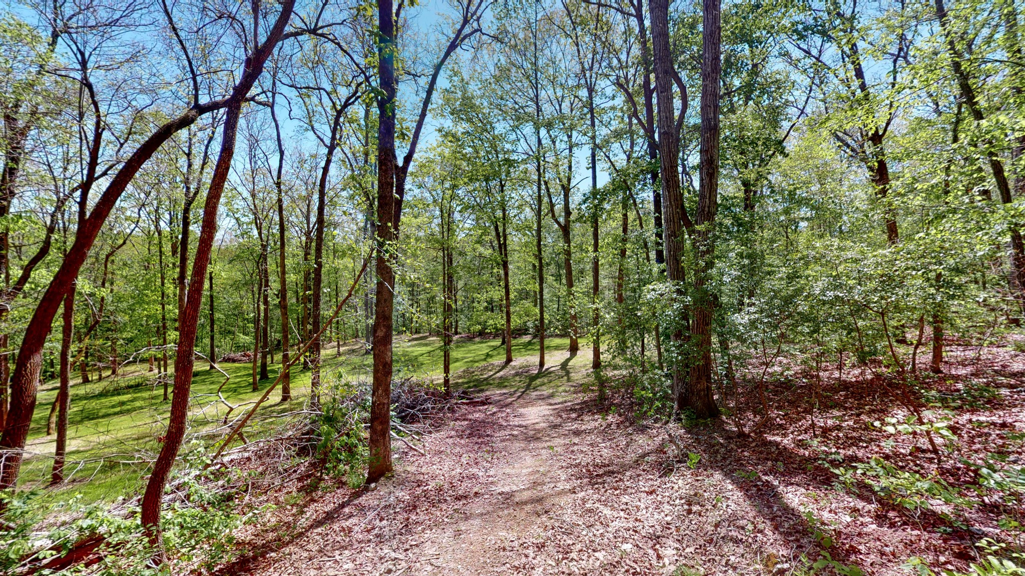 1219 Simmons Branch Road Centerville, TN 37033 - Photo 36 of 48 Gallery Image 36