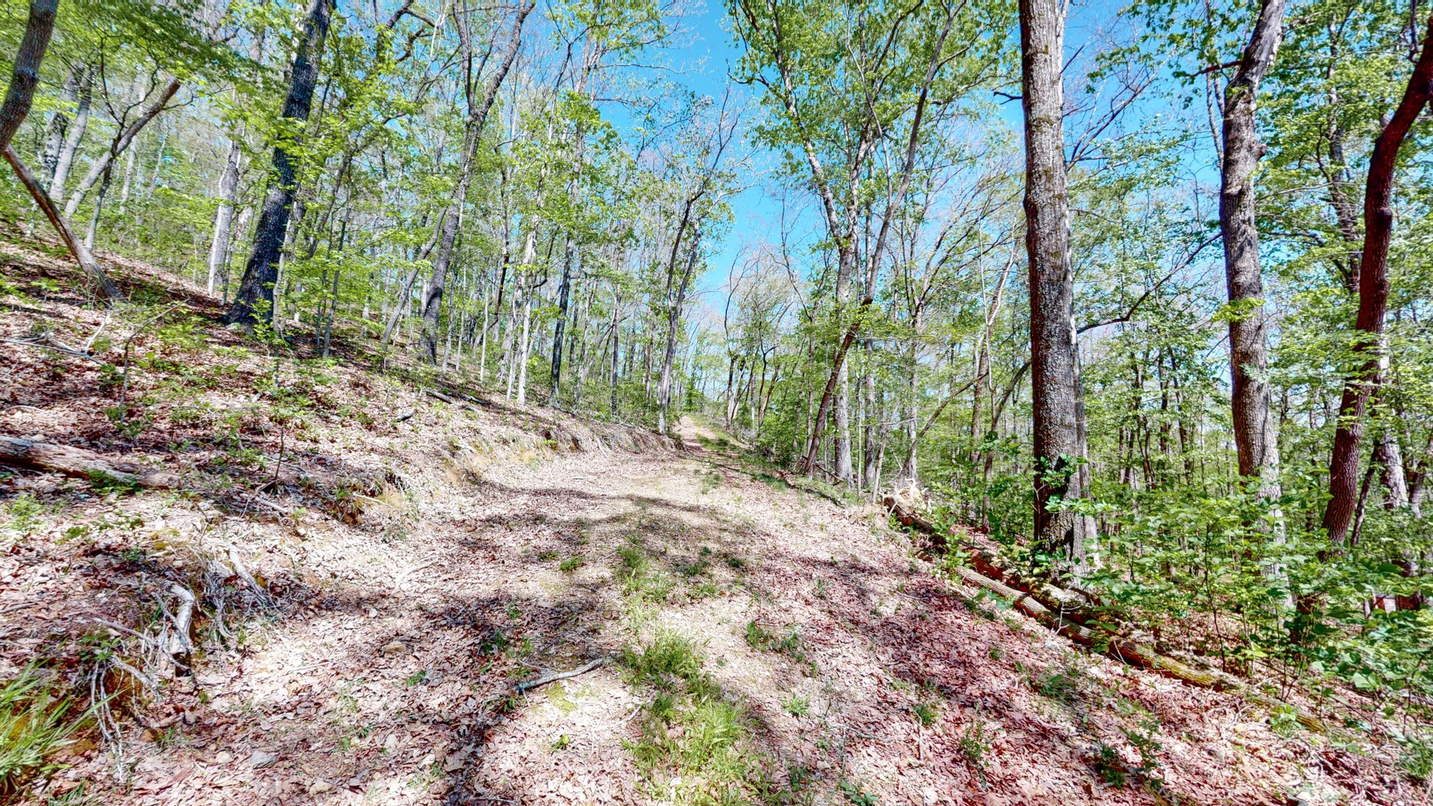 1219 Simmons Branch Road Centerville, TN 37033 - Photo 37 of 48 Gallery Image 37