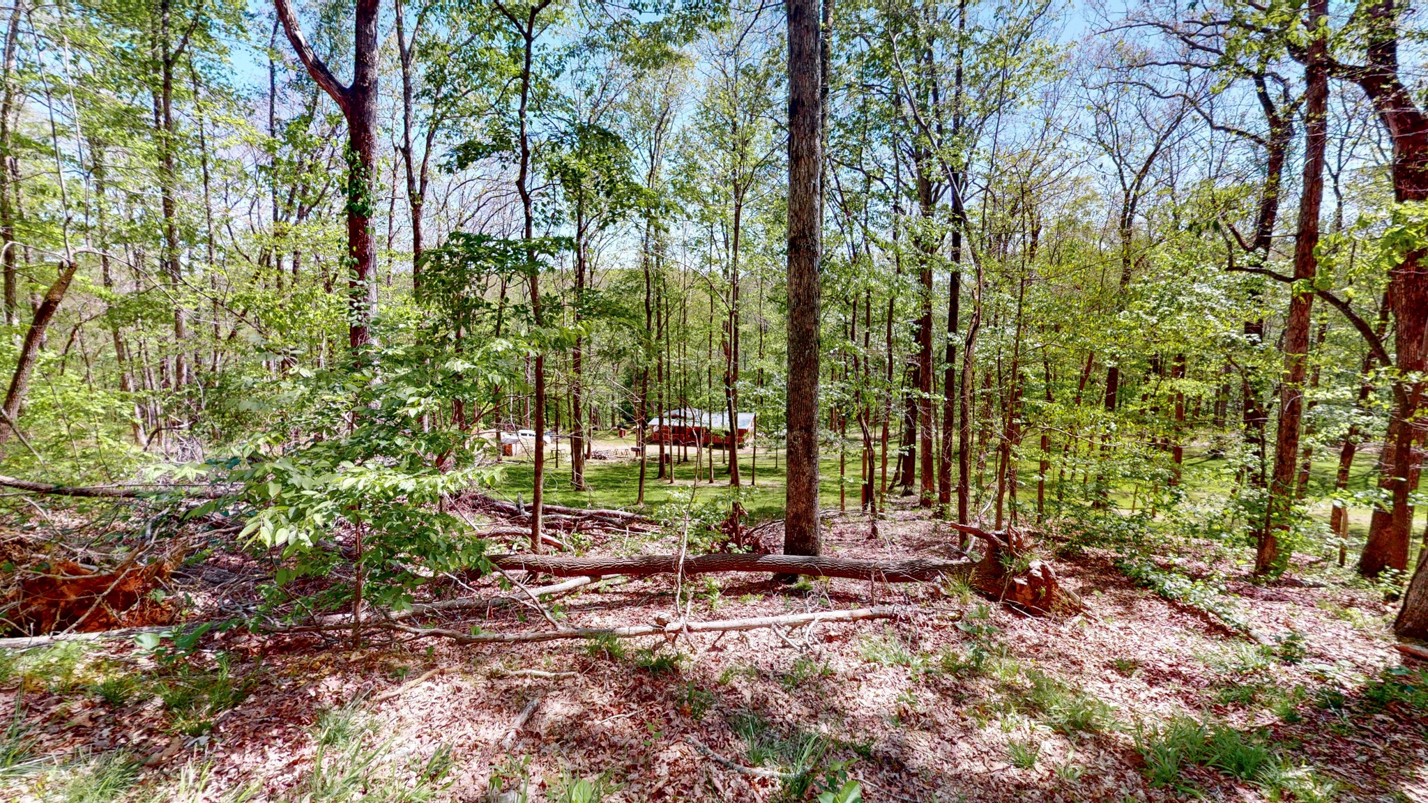 1219 Simmons Branch Road Centerville, TN 37033 - Photo 38 of 48 Gallery Image 38