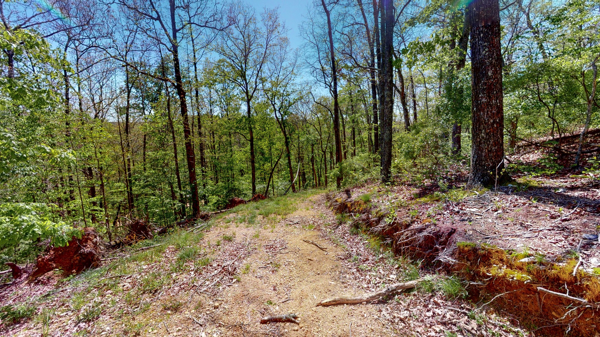 1219 Simmons Branch Road Centerville, TN 37033 - Photo 40 of 48 Gallery Image 40