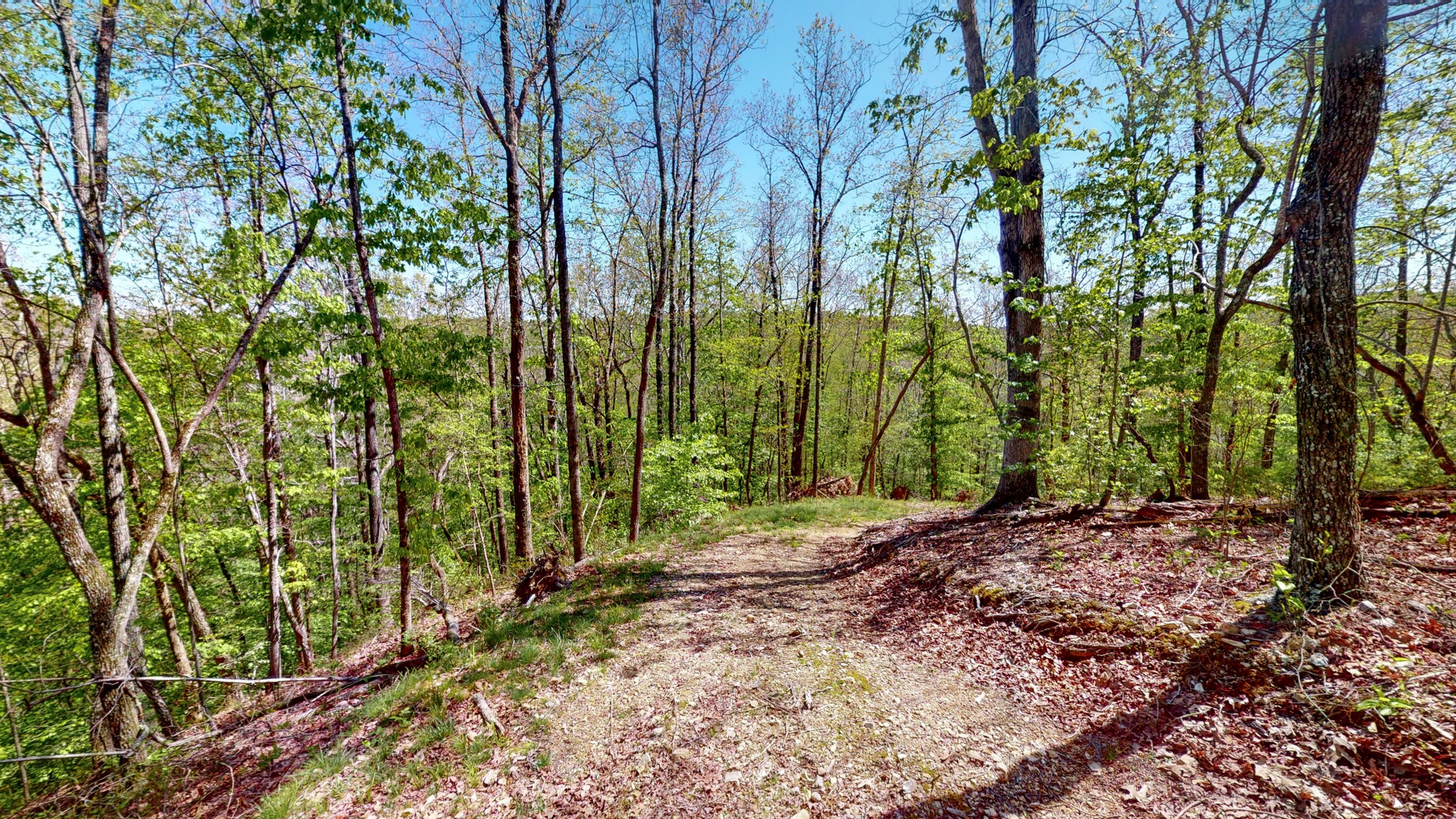 1219 Simmons Branch Road Centerville, TN 37033 - Photo 41 of 48 Gallery Image 41