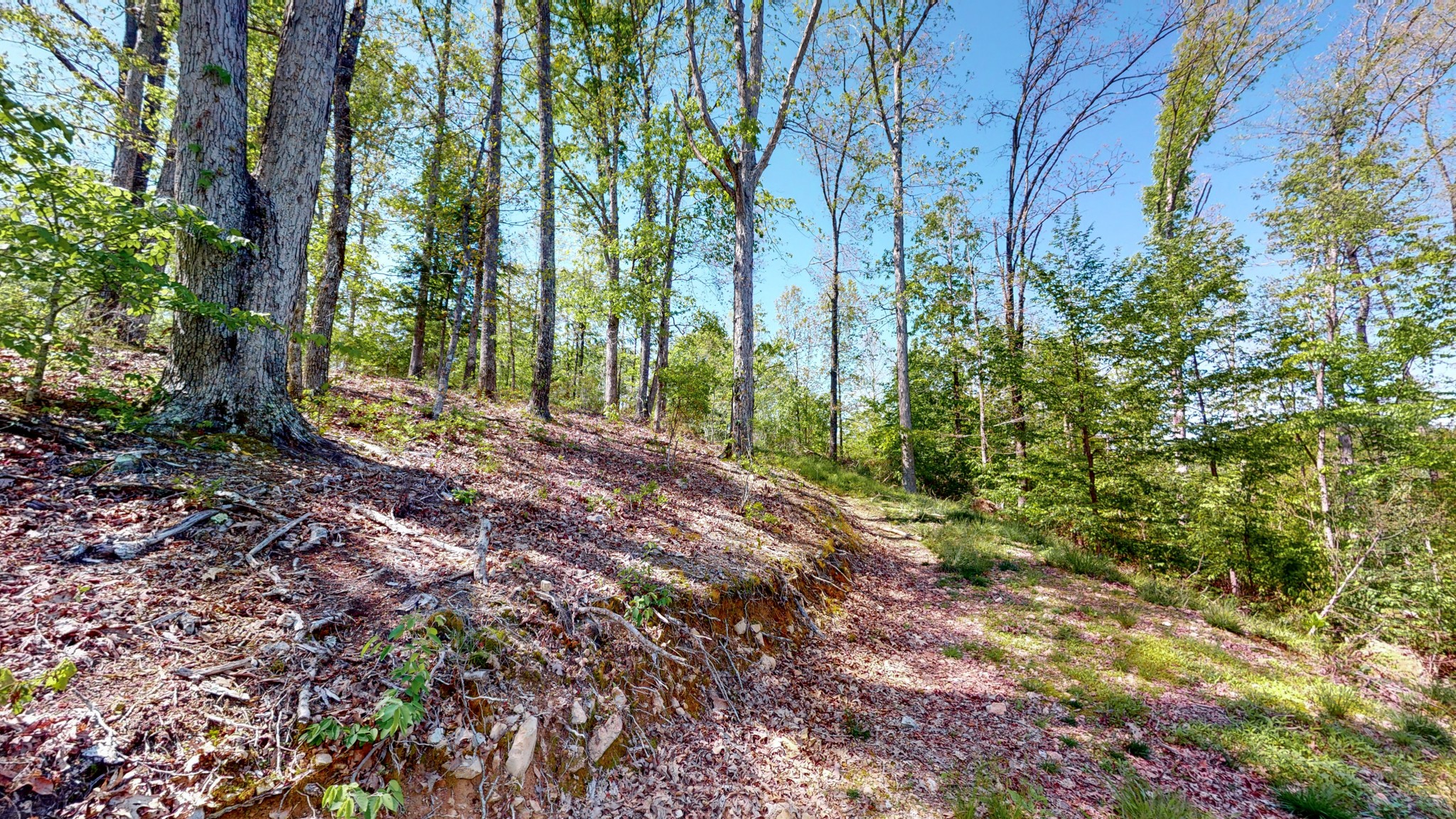 1219 Simmons Branch Road Centerville, TN 37033 - Photo 42 of 48 Gallery Image 42