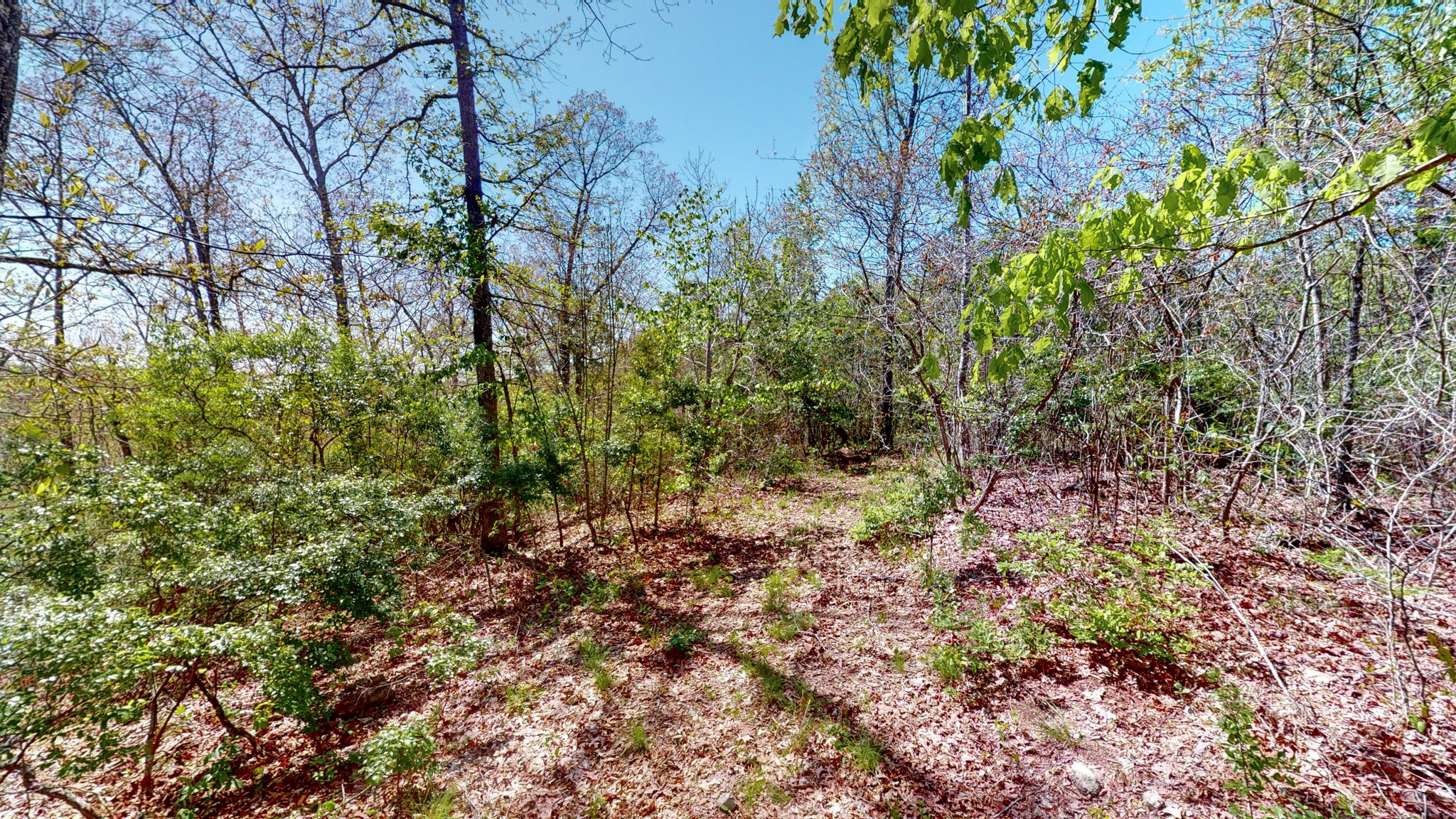 1219 Simmons Branch Road Centerville, TN 37033 - Photo 43 of 48 Gallery Image 43