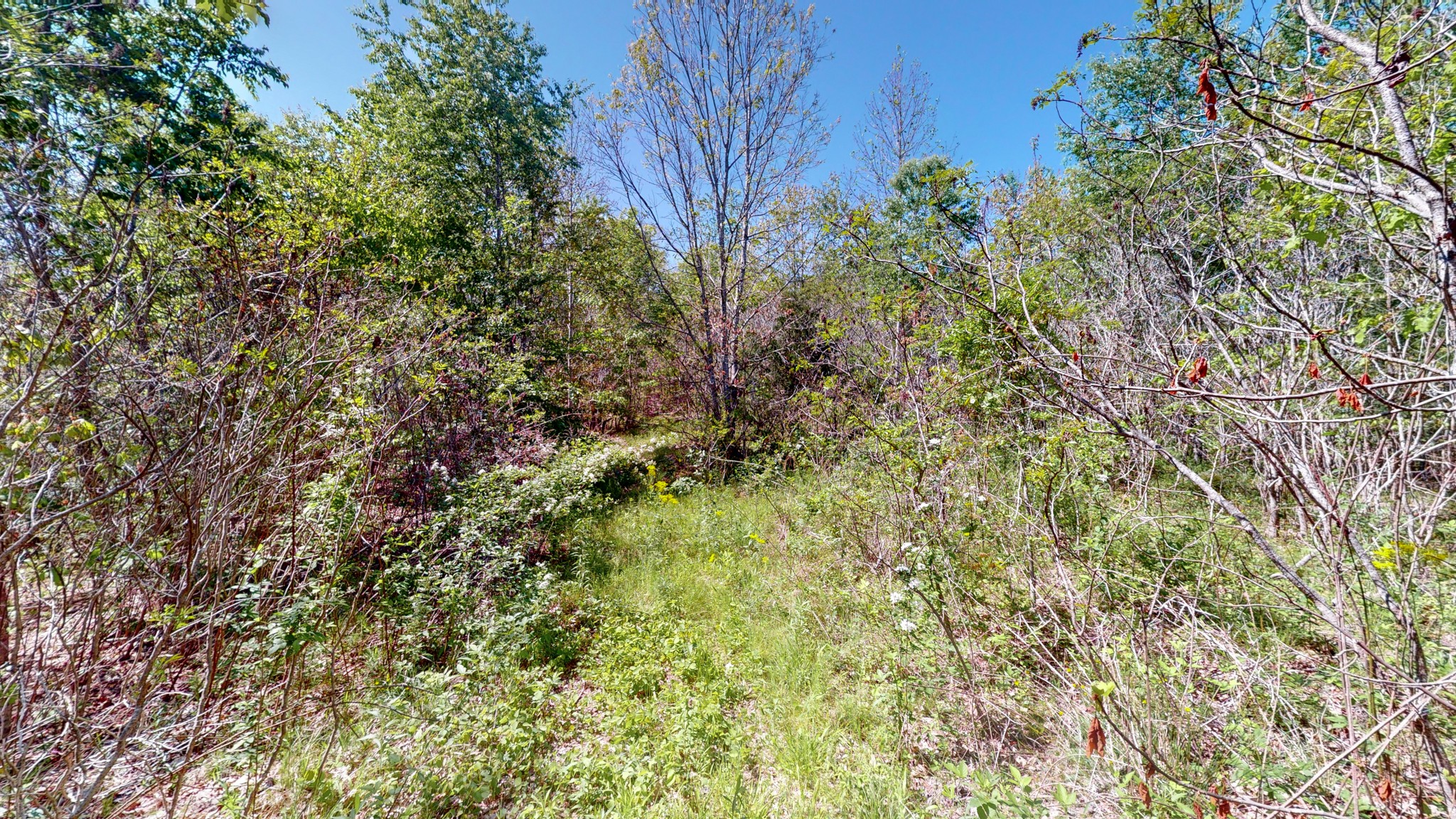 1219 Simmons Branch Road Centerville, TN 37033 - Photo 44 of 48 Gallery Image 44