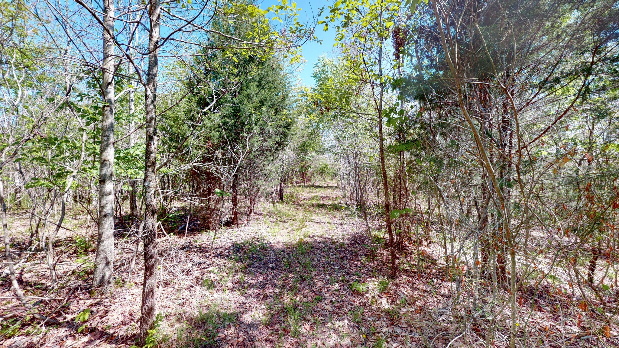 1219 Simmons Branch Road Centerville, TN 37033 - Photo 45 of 48 Gallery Image 45