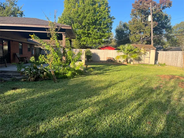 a view of a backyard with plants and large trees