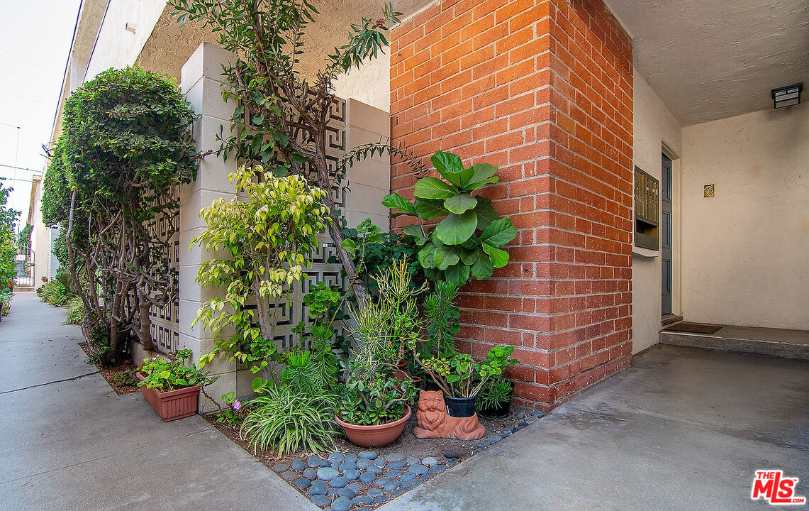 923 17th Street, Unit 3 Santa Monica, CA 90403 - Photo 5 of 22 a potted plant sitting in front of a house