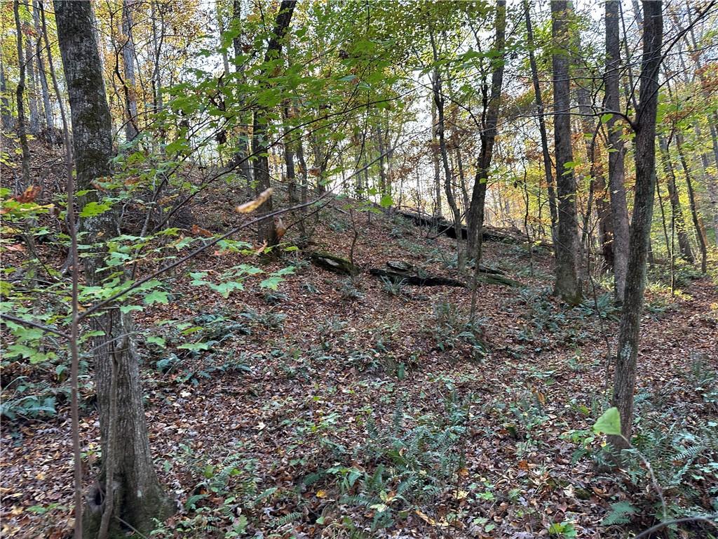 1806 Browning Road Rockmart, GA 30153 - Photo 22 of 97