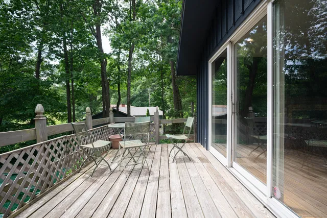 a view of a garden with plants and trees