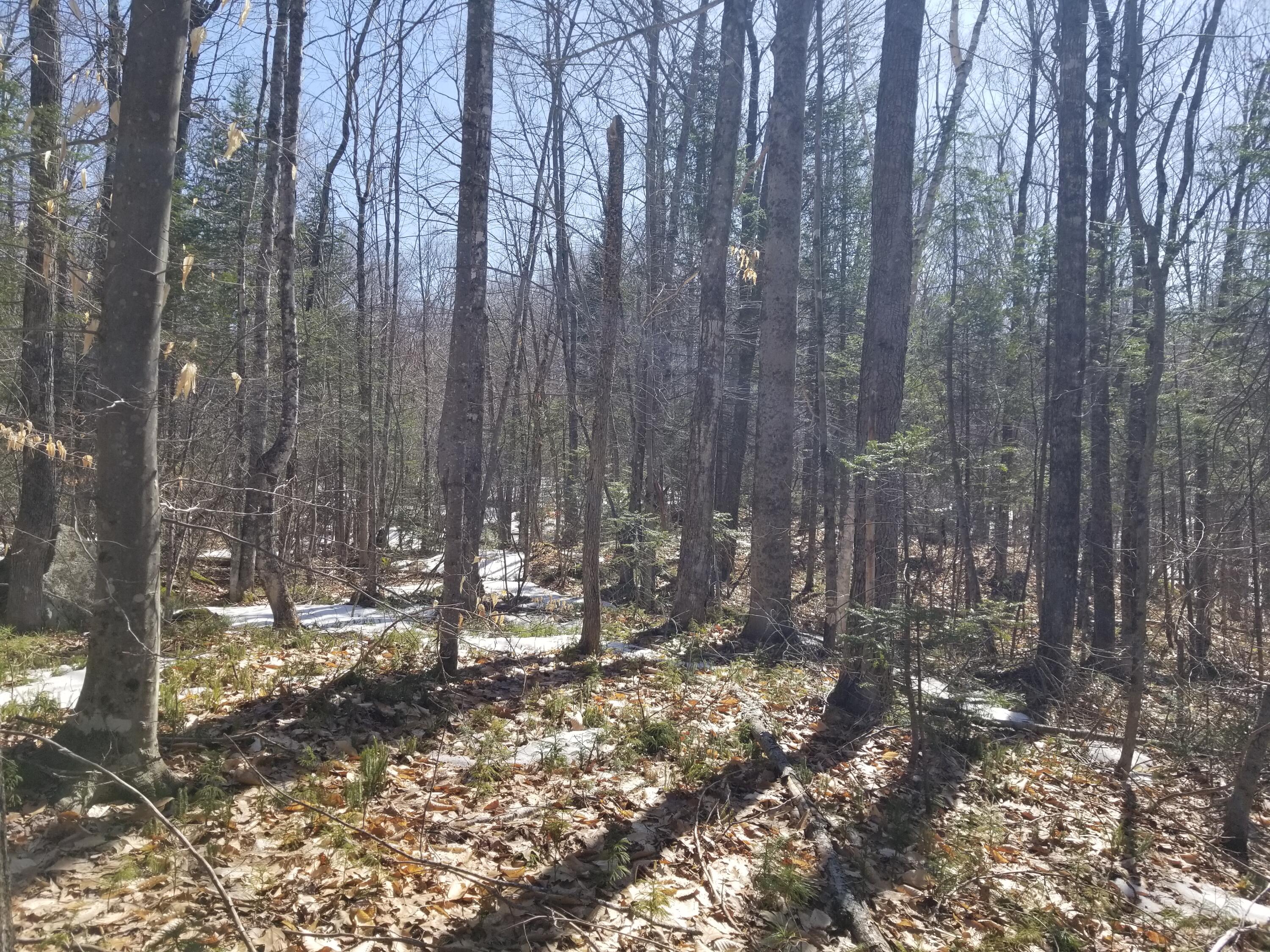 0 Fields Hill Road Sumner, ME 04292 - Photo 3 of 15 2022-03-28 12.10.43
