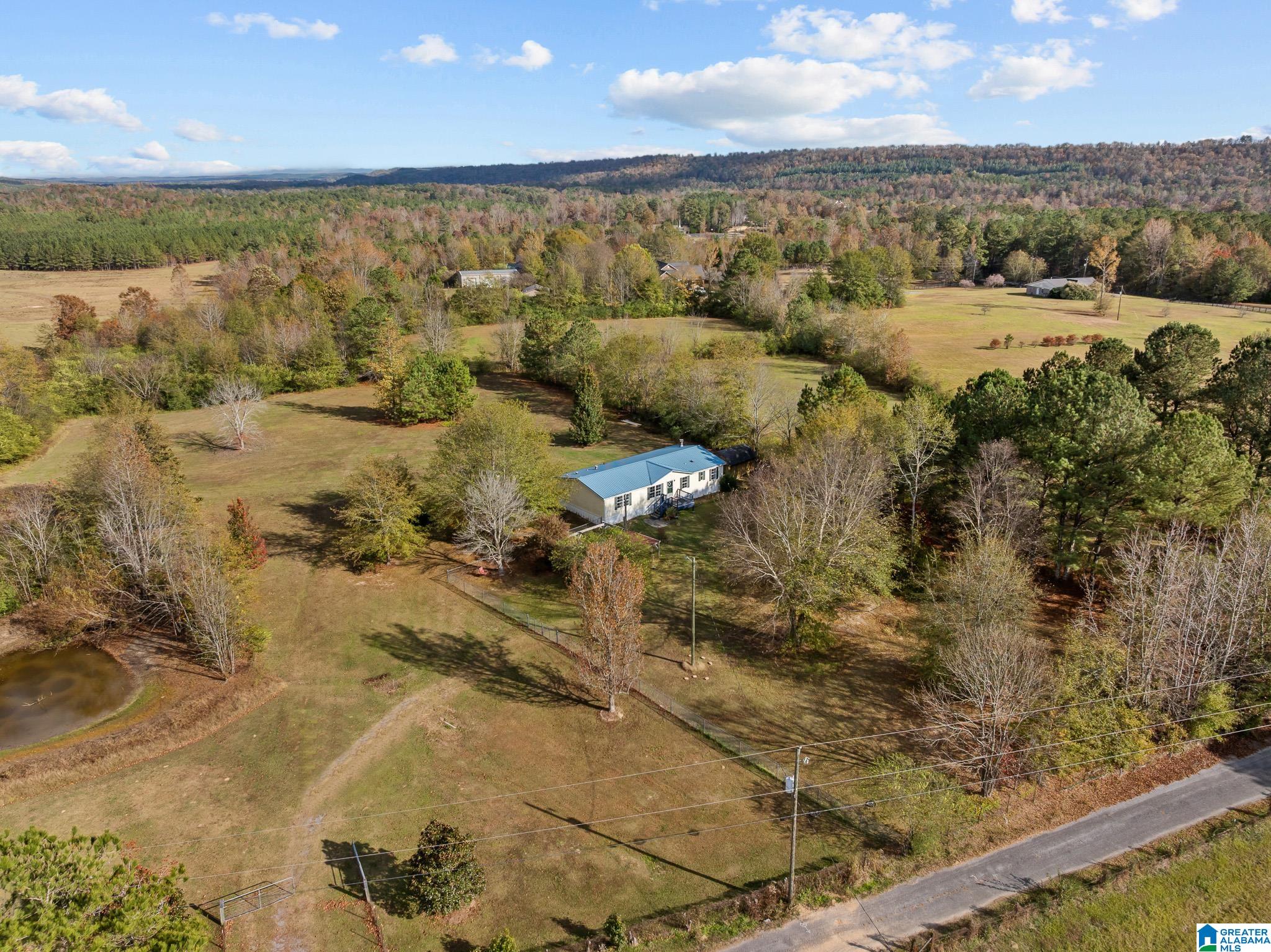 177 Armstrong Road Ashville, AL 35953 - Photo 28 of 38