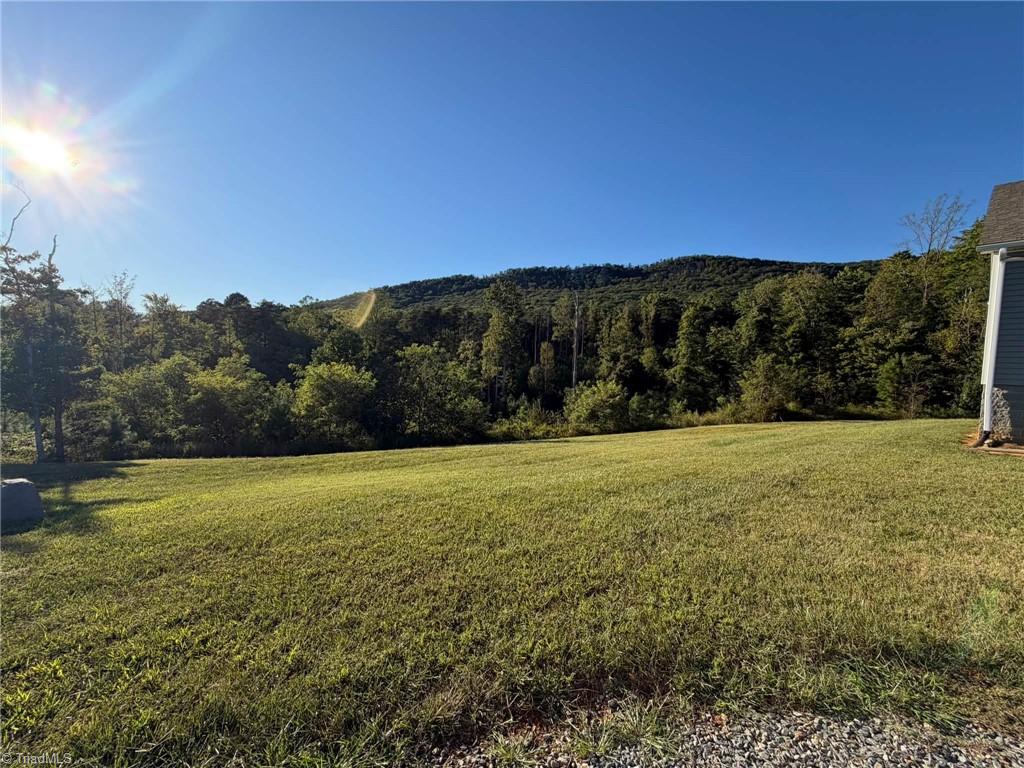 1060 Birdsong Road King, NC 27021 - Photo 39 of 50 Gallery Image 39