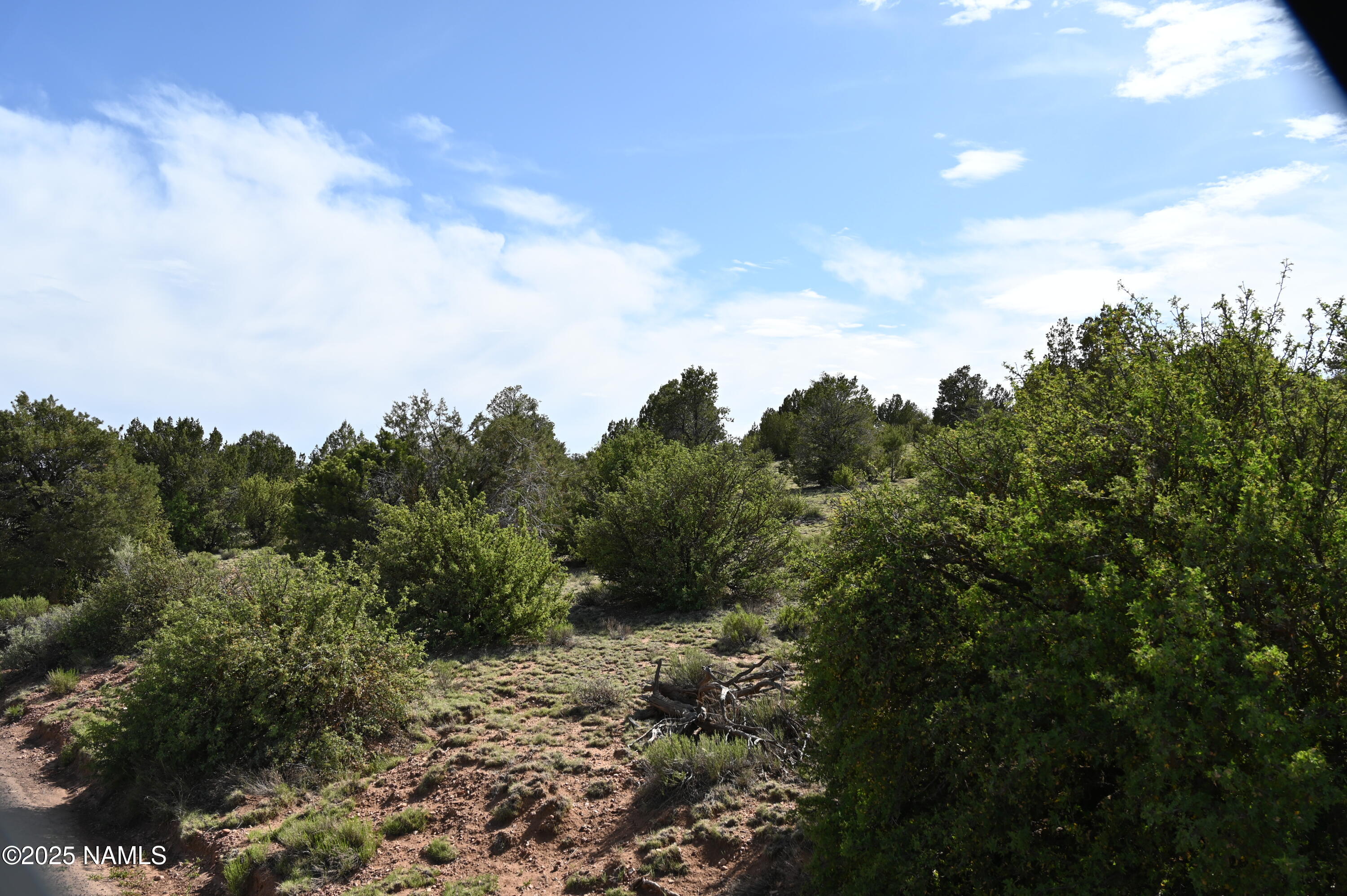9696 Mineral Wells Road Williams, AZ 86046 - Photo 4 of 12 a view of a green field with lots of bushes