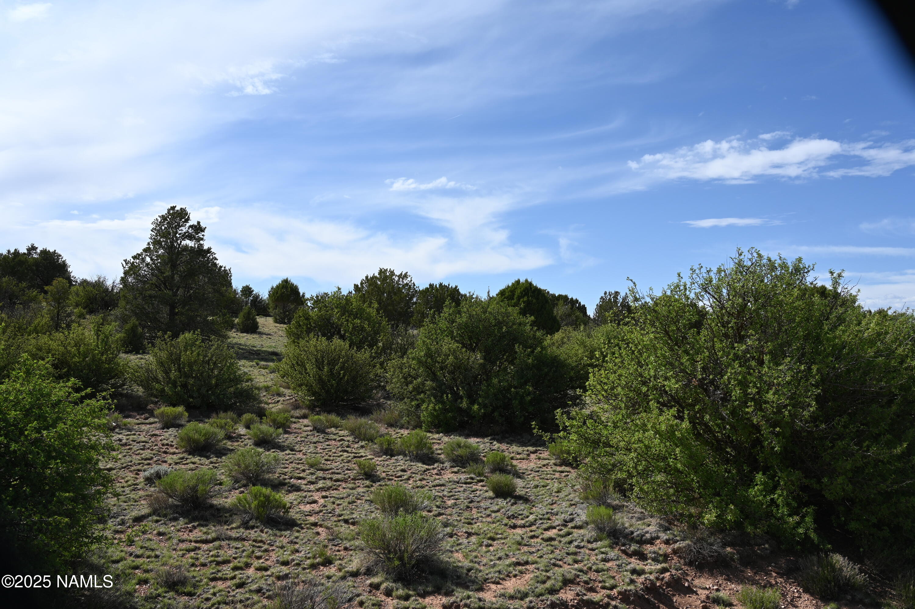 9696 Mineral Wells Road Williams, AZ 86046 - Photo 5 of 12 a view of a city with lush green forest