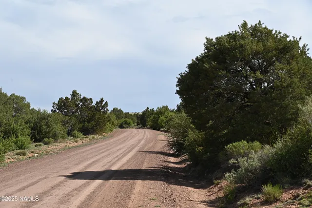 a view of a dry yard with wooden fence