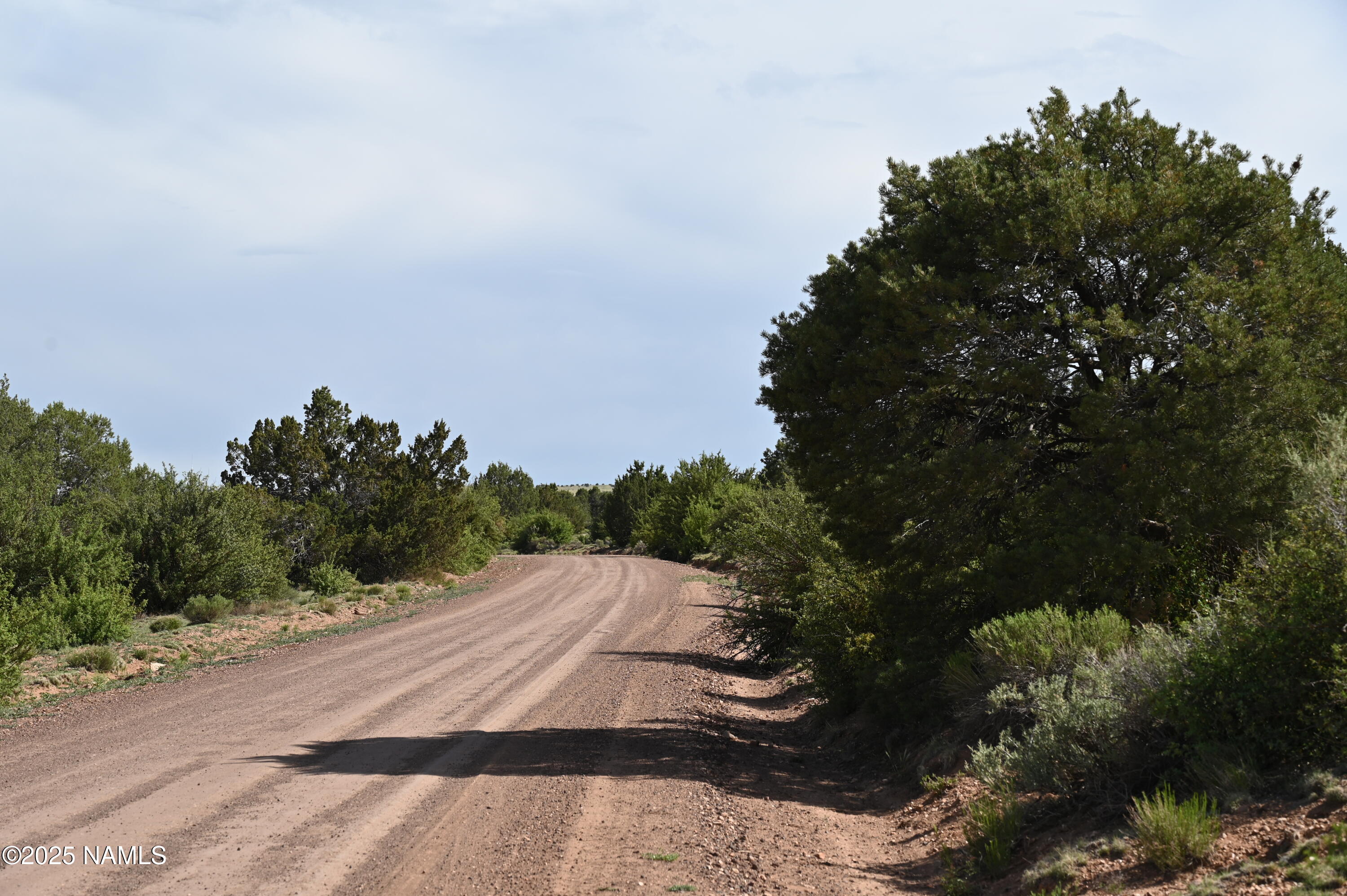 9696 Mineral Wells Road Williams, AZ 86046 - Photo 7 of 12 a view of a dry yard with wooden fence