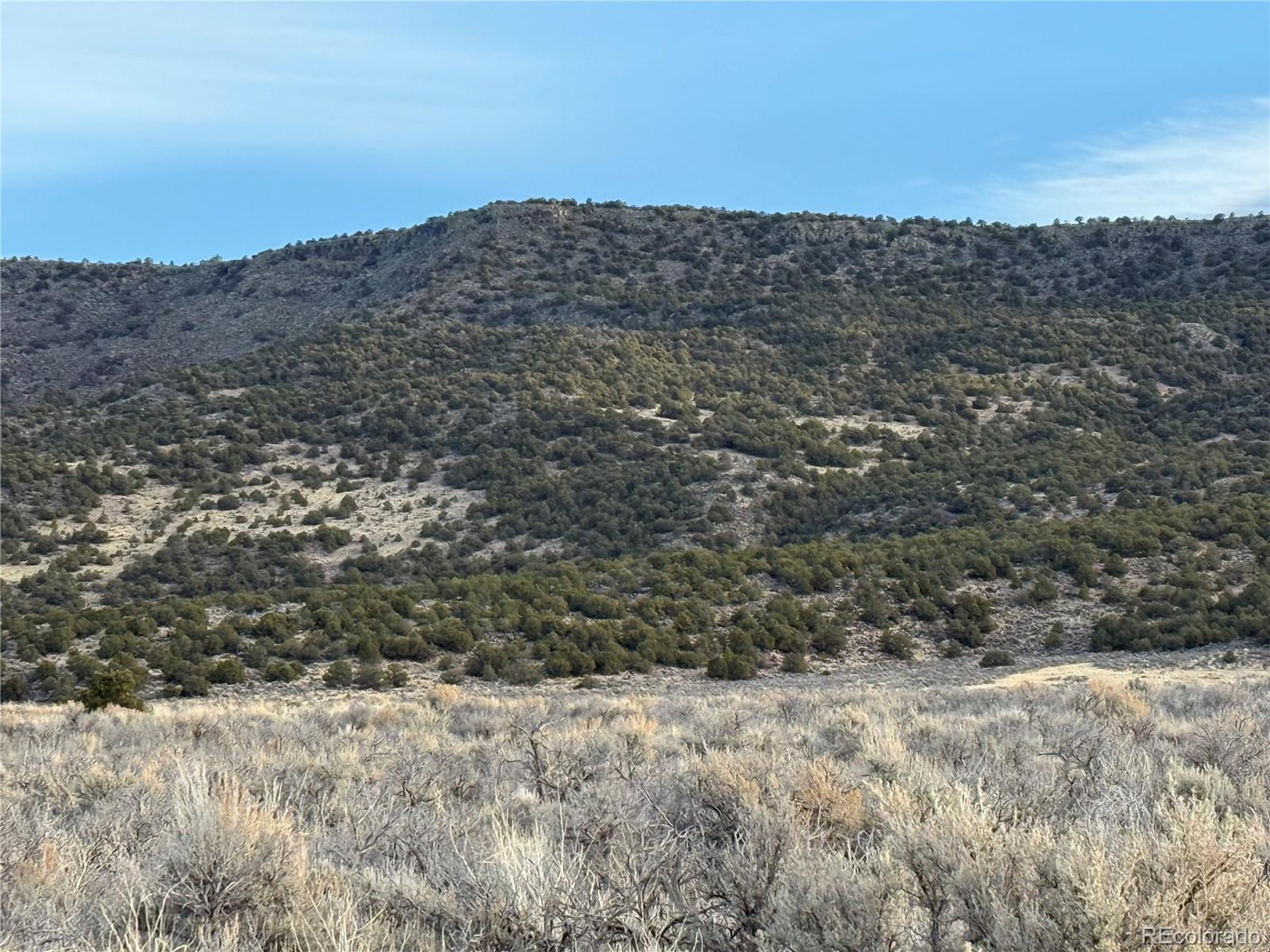 a view of a dry yard with mountains in the background